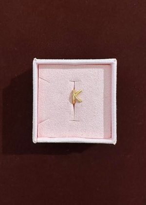 Spelling huggie K Forgyldt Pico 